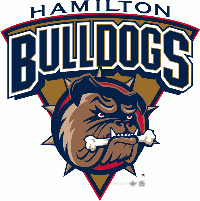Hamilton Bulldogs 1996 97-2001 02 Secondary Logo iron on heat transfer